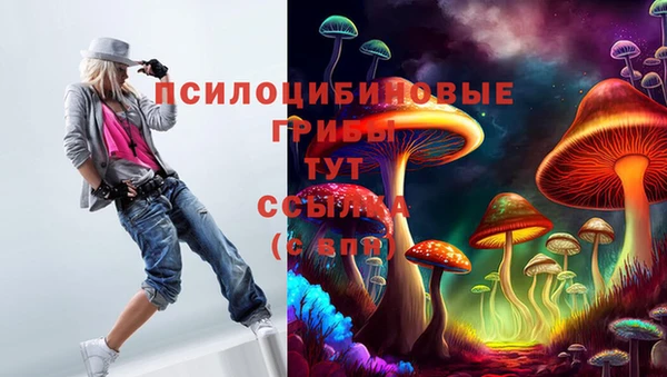 apvp Арсеньев
