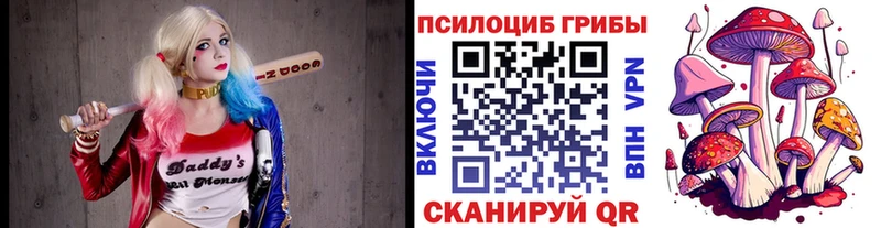 Псилоцибиновые грибы Psilocybine cubensis  ОМГ ОМГ ссылки  Пыталово 